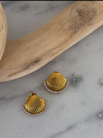 Gold Seashell Earrings